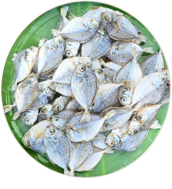 Silver Belly | Kaaral-Small | காரல்