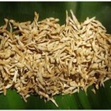 Anchovy | Nethili | நெத்திலி-Medium-Black-With Salt