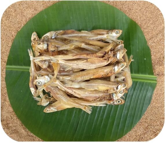 Anchovy | Nethili | நெத்திலி-Big-Without Salt