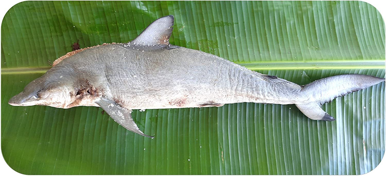 Dry Fish