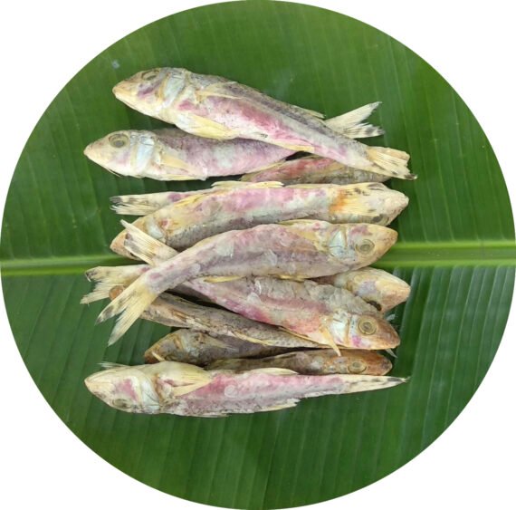 Red Mullet | Nagarai | நகரை