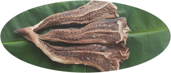 Sting Ray | Thirukai-Black | கருந்திருக்கை