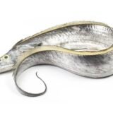 White Ribbon Fish | SaaVaalai | சாவாலை