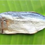 Mackeral | Kumula | Ayulai |அயிலை | குமுலா