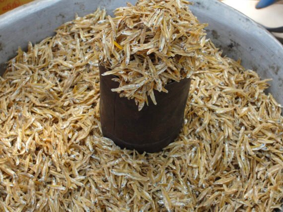 Ayirai | அயிரை கருவாடு